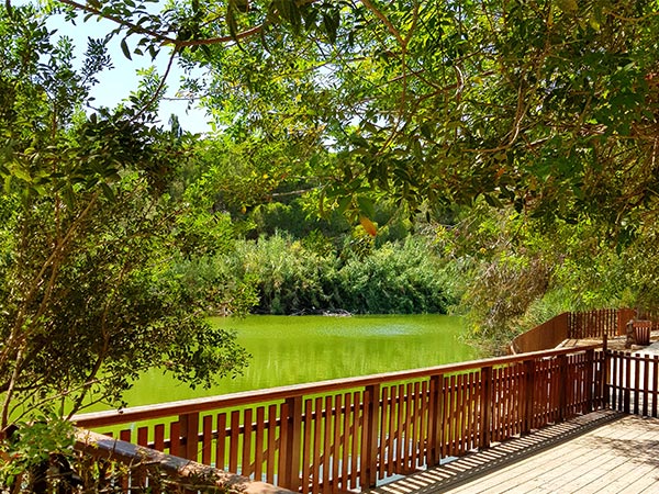 Athalassa National Forest Park, Cyprus